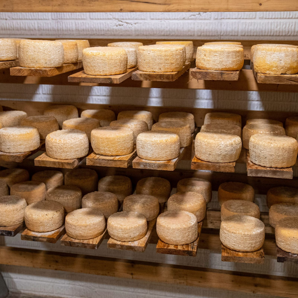 Fromages Corses