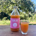Reiner korsischer Pampelmusensaft 1 L La Corsica (Vorbestellung PRO)