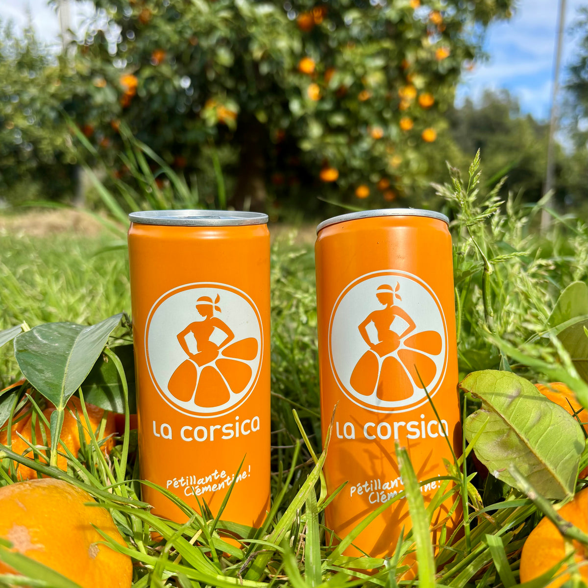 Jus de Clémentine pétillant La Corsica (pré-commande PRO)