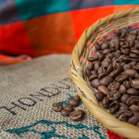 U Caffé – Korsischer Kaffee in Bohnen aus Honduras (PRO-Vorbestellung)