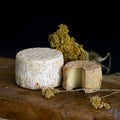 12 Tommes de Brebis-Chèvre – 360 g l'unité (pré-commande PRO)